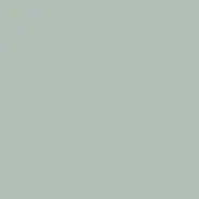 Sterling - Ash Gray